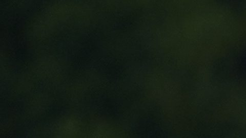 Bryson DeChambeau y el presidente Donald Trump se conocen desde hace 8 años.
