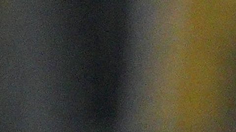 Matías Almeyda ya ha dirigido a Orbelín Pineda en dos equipos.