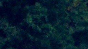 Compareció el viernes ante un tribunal federal en Detroit y fue liberado bajo fianza de $10,000 dólares.