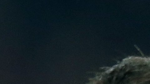 Messi y Cristiano siguen siendo titulares en sus selecciones nacionales.