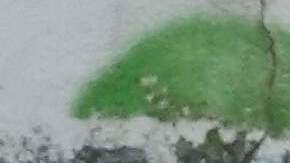 Pese a su anulación, el juicio por la muerte de Maradona sigue teniendo consecuencias.