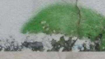 Pese a su anulación, el juicio por la muerte de Maradona sigue teniendo consecuencias.