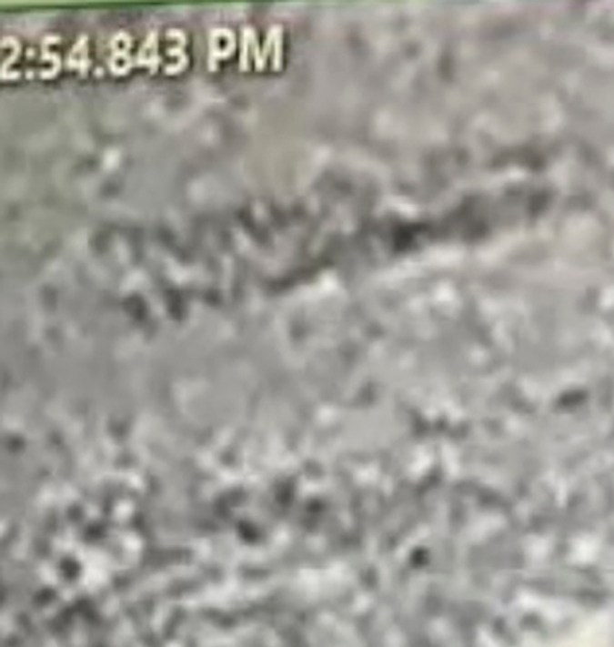 Escapó haciéndose pasar por guardia penitenciario.