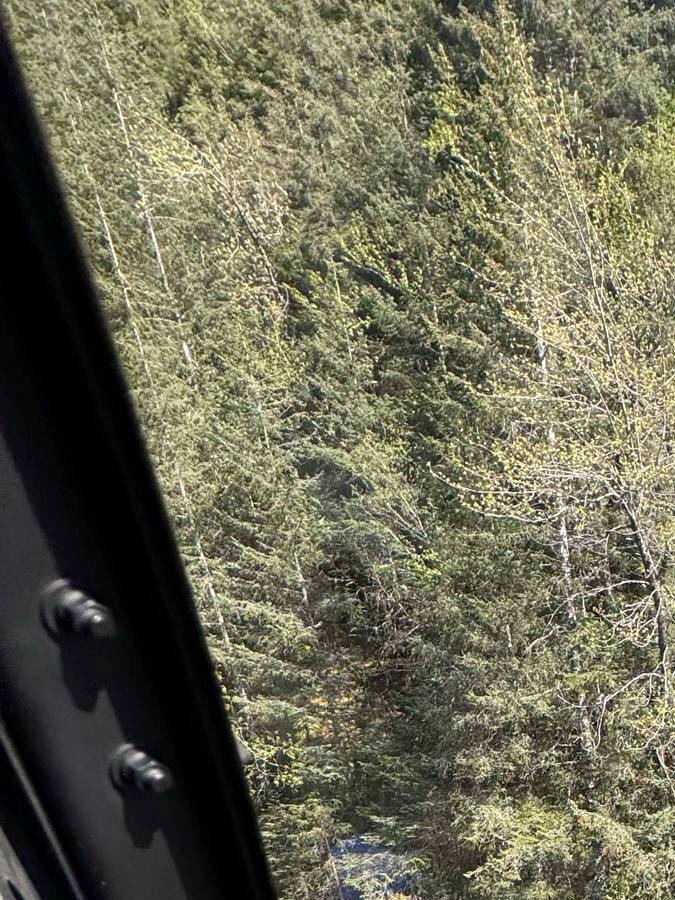 El hombre fue trasladado a un hospital y se espera su recuperación total.