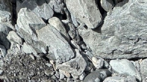 Su esposa evitó que se ahogara sosteniéndole la cabeza fuera del agua hasta que llegó un equipo de rescate aéreo.