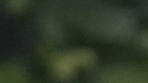 Los jugadores del PSG compartieron su alegría con los aficionados que los vieron desfilar.