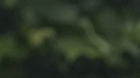 Los jugadores del PSG compartieron su alegría con los aficionados que los vieron desfilar.