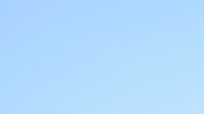 Diversas organizaciones civiles han alertado por recortes en programas de salud.