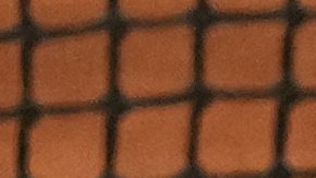 Carlos Alcaraz celebra su triunfo sobre Tommy Paul.