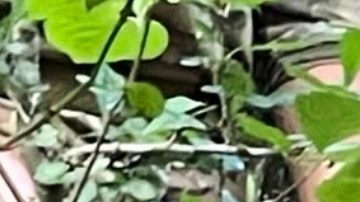 Hardin, de 56 años, fue localizado a solo 2,4 kilómetros de la prisión de donde se había fugado