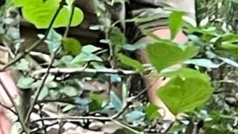 Hardin, de 56 años, fue localizado a solo 2,4 kilómetros de la prisión de donde se había fugado