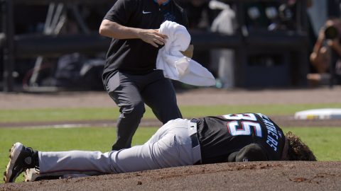 A Miami Marlins trainer rushes out to help pitcher Ryan Weathers after he was hit in the head while teammates were warming up before the first inning of a baseball game Saturday, June 7, 2025, in Tampa, Fla. (AP Photo/Chris O'Meara)