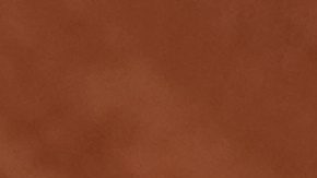 Spain's Carlos Alcaraz reacts during the final match of the French Tennis Open at the Roland-Garros against Italy's Jannik Sinner in Paris, Sunday, June 8, 2025. (AP Photo/Christophe Ena)