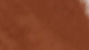 Spain's Carlos Alcaraz reacts during the final match of the French Tennis Open at the Roland-Garros against Italy's Jannik Sinner in Paris, Sunday, June 8, 2025. (AP Photo/Christophe Ena)