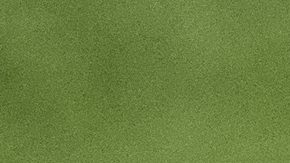 Dallas Cowboys' Dak Prescott looks to the sideline during practice at NFL football minicamp at the Cowboys' facility, Wednesday, June 11, 2025, in Frisco, Texas. (AP Photo/Jessica Tobias)