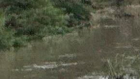 Las aguas desbordadas del arroyo Perrin Beitel arrastraron más de una docena de vehículos