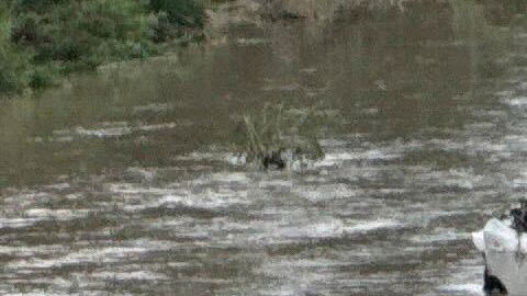 Las aguas desbordadas del arroyo Perrin Beitel arrastraron más de una docena de vehículos