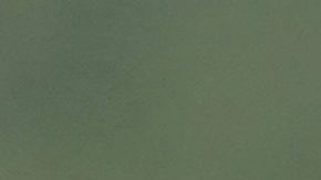 Aaron Rodgers durante un entrenamiento con los Pittsburgh Steelers.