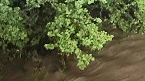 una crecida repentina de arroyos que arrastró vehículos y obligó a algunos residentes a refugiarse en árboles.