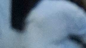 Benfica's Kerem Akturkoglu (17) and teammates celebrate after Nicolas Otamendi scores their side's second goal during the Club World Cup group C soccer match between Boca Juniors and Benfica in Miami Gardens, Fla., Monday, June 16, 2025. (AP Photo/Marta Lavandier)