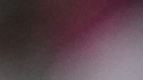 Monterrey's Sergio Ramos, right, and Victor Guzman react at the end of the Club World Cup group E soccer match between CF Monterrey and Inter Milan in Pasadena, Calif., Tuesday, June 17, 2025. (AP Photo/Gregory Bull)