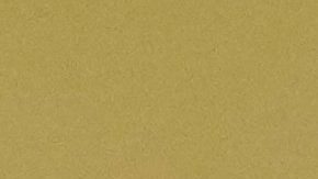 Messi festeja con sus compañeros el gol que le dio el triunfo al Inter Miami.