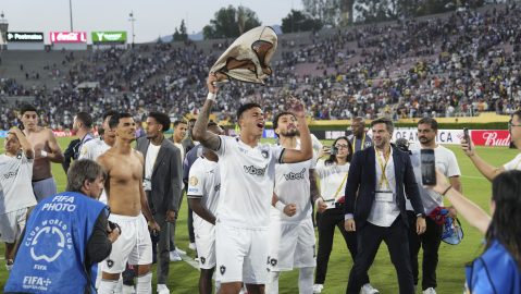 Botafogo's David Ricardo celebrates with teammates after winning the Club World Cup group B soccer match between PSG and Botafogo in Pasadena, Calif., Thursday, June 19, 2025. (AP Photo/Jae C. Hong)