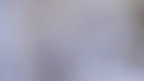 Real Madrid's Antonio Rudiger, front, gestures during the Club World Cup Group H soccer match between Real Madrid and CF Pachuca in Charlotte, N.C., Sunday, June 22, 2025. (AP Photo/Chris Carlson)