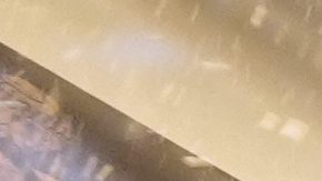 Oklahoma City Thunder guard Shai Gilgeous-Alexander celebrates with teammates in the locker room after winning the NBA basketball championship with a Game 7 victory against the Indiana Pacers Sunday, June 22, 2025, in Oklahoma City. (AP Photo/Julio Cortez)