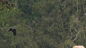 Accidente de avión en India