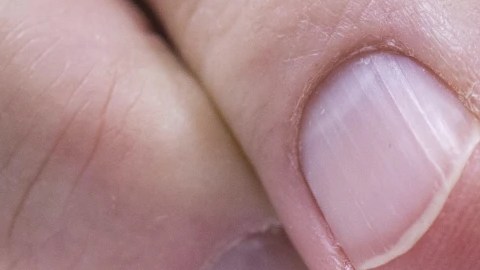 La FDA envío cartas  a las farmacéuticas Pfizer y Moderna para que actualizaran las advertencias de la vacuna