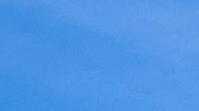 Aldi vende papas enlatadas a $1.05: son furor y se viralizaron