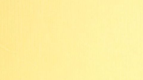 Alessandra Rosaldo Eugenio Derbez