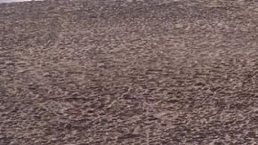 Analizamos el Hyundai IONIQ 9 2026