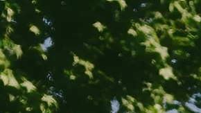 Starlink se ha convertido en un éxito comercial gracias a su internet satelital de alta velocidad