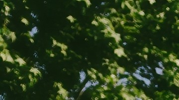 Starlink se ha convertido en un éxito comercial gracias a su internet satelital de alta velocidad