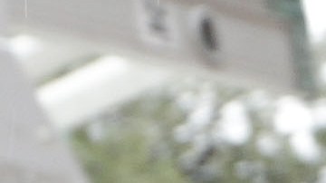 In this photo made Thursday, March 6, 2015, a U.S. Immigration and Customs Enforcement agent escorts a handcuffed undocumented immigrant convicted of a felony that was taken into custody during an early morning operation in Dallas. The Department of Homeland Security has been conducting a nationwide roundup of undocumented immigrants convicted of felonies in order to deport them to their country of origin. (AP Photo/LM Otero)