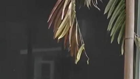 Arresto en Florida