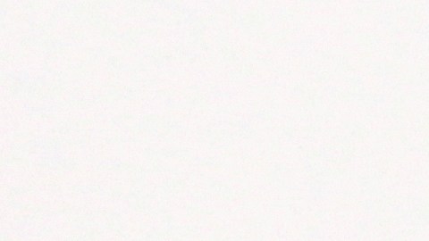 A bed bug is displayed at the Smithsonian Institution National Museum of Natural History in Washington, Wednesday, March 30, 2011. It's that time of year when the bugs emerge to bug us. Some can pose real threats _ Lyme disease from tiny ticks, West Nile virus from mosquitoes, or life-threatening allergic reactions to bee stings. But most bug bites in this country are an itchy nuisance. (AP Photo/Carolyn Kaster)