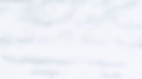 Aumento del salario mínimo