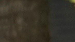 A vehicle passes a bank sign displaying a temperature of 116 degree in Sacramento, Calif., Tuesday, Sept. 6, 2022. The National Weather Service reported the temperature in Sacramento hit a high of 116 degrees, breaking the previous record high of 114. (AP Photo/Rich Pedroncelli)