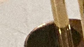 El expresidente Biden muestra sus respetos a Melissa Hortman, su esposo, Mark y su perro, que yacen en el Capitolio de Minneapolis.