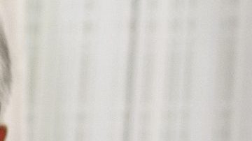 Bass adelantó que este miércoles reevaluará la decisión, pero pronostica que dure varios días.