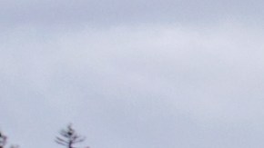 El caso está siendo investigado por la división de servicios de investigación del NPS.