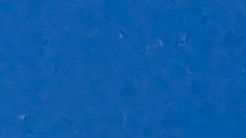 Boletos de lotería tirados a la basura