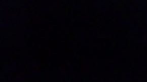 Camarón Zepeda y Shakur Stevenson