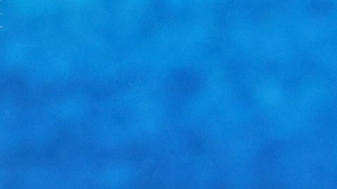 Canelo Álvarez vs. Terence Crawford Press Conference at Fanatics Fest, New York City