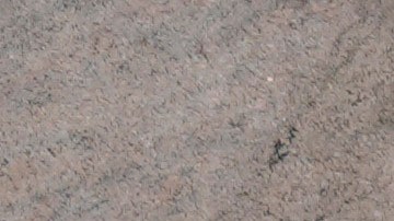 Según el Departamento de Educación, Columbia "ya no parece cumplir con los estándares de acreditación de la Comisión".