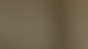 Compre ahora, pague después en alimentos