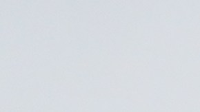 Cuesta solo $1.25 en Dollar Tree y todos lo buscan: el papel de cocina que es un boom